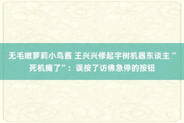 无毛嫩萝莉小鸟酱 王兴兴修起宇树机器东谈主“死机瘫了”：误按了访佛急停的按钮