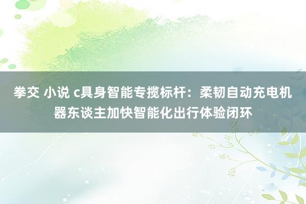 拳交 小说 c具身智能专揽标杆：柔韧自动充电机器东谈主加快智能化出行体验闭环