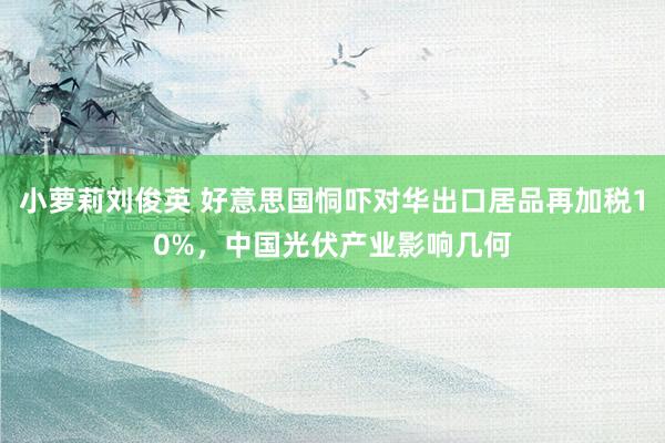 小萝莉刘俊英 好意思国恫吓对华出口居品再加税10%，中国光伏产业影响几何