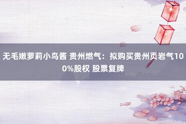 无毛嫩萝莉小鸟酱 贵州燃气：拟购买贵州页岩气100%股权 股票复牌