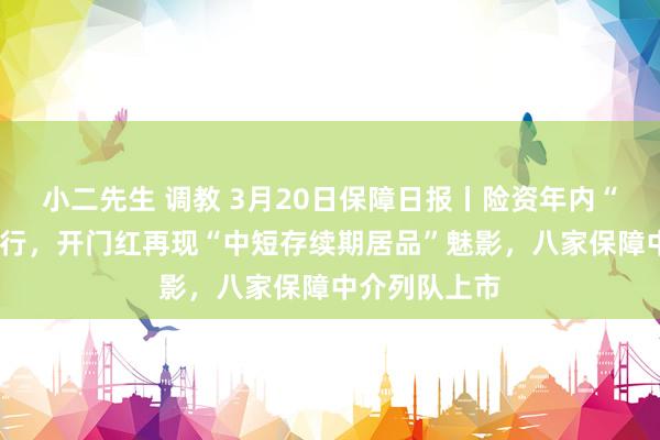 小二先生 调教 3月20日保障日报丨险资年内“举牌”5家银行，开门红再现“中短存续期居品”魅影，八家保障中介列队上市