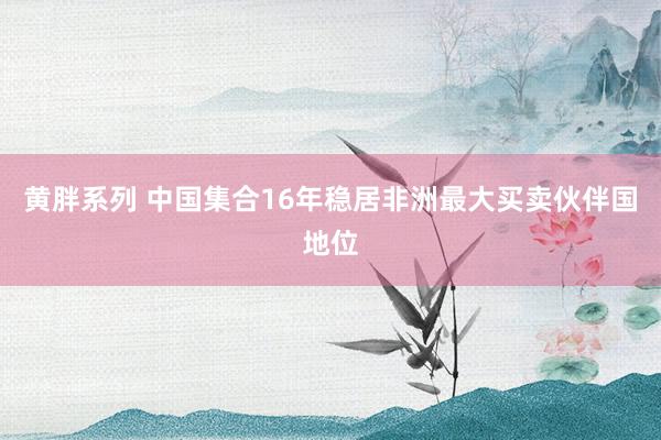 黄胖系列 中国集合16年稳居非洲最大买卖伙伴国地位