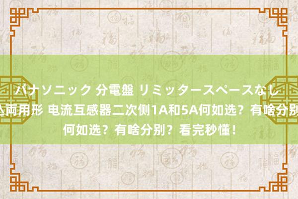 パナソニック 分電盤 リミッタースペースなし 露出・半埋込両用形 电流互感器二次侧1A和5A何如选？有啥分别？看完秒懂！