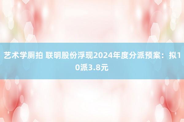 艺术学厕拍 联明股份浮现2024年度分派预案：拟10派3.8元