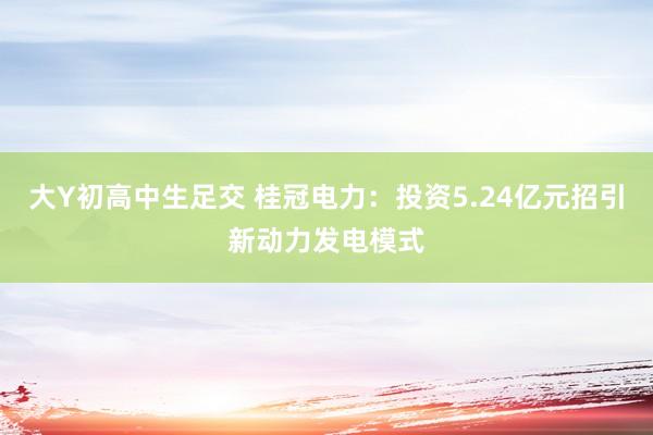 大Y初高中生足交 桂冠电力：投资5.24亿元招引新动力发电模式