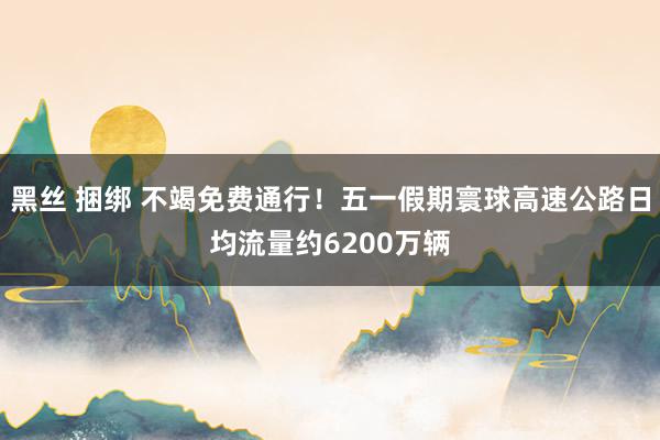 黑丝 捆绑 不竭免费通行！五一假期寰球高速公路日均流量约6200万辆
