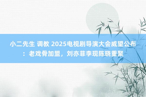 小二先生 调教 2025电视剧导演大会威望公布：老戏骨加盟，刘亦菲李现陈晓重聚