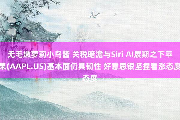 无毛嫩萝莉小鸟酱 关税暗澹与Siri AI展期之下苹果(AAPL.US)基本面仍具韧性 好意思银坚捏看涨态度