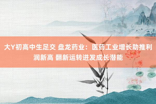 大Y初高中生足交 盘龙药业：医药工业增长助推利润新高 翻新运转迸发成长潜能