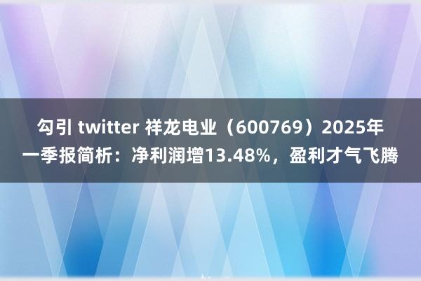 勾引 twitter 祥龙电业（600769）2025年一季报简析：净利润增13.48%，盈利才气飞腾